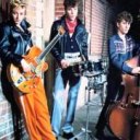 Stray Cats